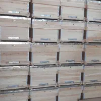کندو وطبق فروشی نو
