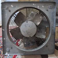 فنی بزرگ
