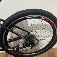 دوچرخه ۲۹|دوچرخه، اسکیت، اسکوتر|سرپل ذهاب, |دیوار