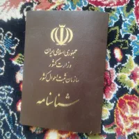 گم شده