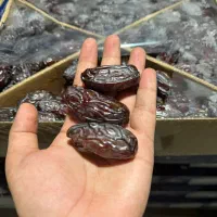 خرما پیارم /مجول/خاصویی/مرداب سنگ/کبکاب