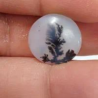 سنگ شجر|بدلیجات|کرمانشاه, |دیوار