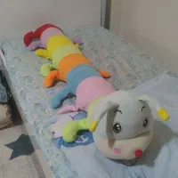 عروسک کنار تختی