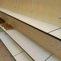 رگال و قفسه