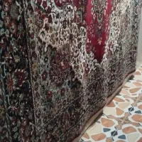 قالی ۱۲ متری|فرش|اهواز, کوی مهدیس|دیوار