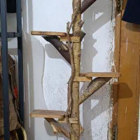پایه گل تنه درخت