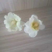 گل ختمی دمنوش