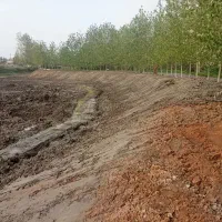 اجاره بیل مکانیکی زنجیری و بلدوزر|خدمات حمل و نقل|رشت, گلسار|دیوار