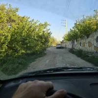 باغچه-زمین-باغ-چهار-دیواری