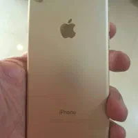 آیفون 7 128 گیگ طلایی|موبایل|تهران, دریا|دیوار