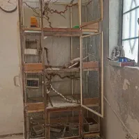 قفس بزرگ آهنی پرنده