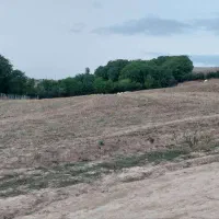 فروش زمین ۳۵۰ متری قلعه قافه بالا|فروش زمین و ملک کلنگی|مینودشت, |دیوار