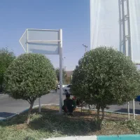 باغبانی مجتمع|خدمات باغبانی و درختکاری|یزد, |دیوار