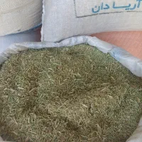 فروش فوری خار کمبود جا قیمت کیلو 9 تومن|حیوانات مزرعه|تربت جام, جامرود|دیوار
