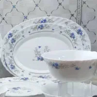 سرویس ارکوپال شش نفره