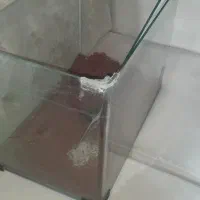 اکواریوم و ماهی