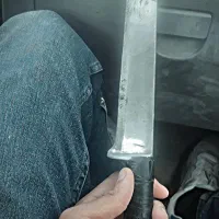 چاقو معاوضه فقط با کبوتر