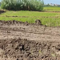 فروش زمین ۵۰۰ متری