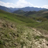 سیمکارت رند ۰۹۱۵۱۱۰۱۱۴۰