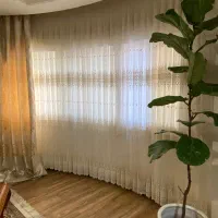 پرده حریر گلدوزی در حدنو