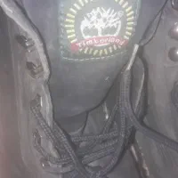 کتونی مارک تیم برلند اصل اصل امریکایی سایز ۴۲|کیف، کفش، کمربند|تهران, شادآباد|دیوار