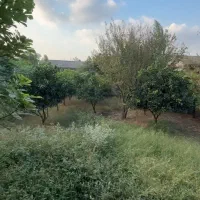 فروش زمین
