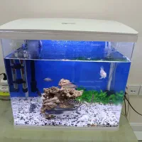 اکواریوم شرکتی دلسا