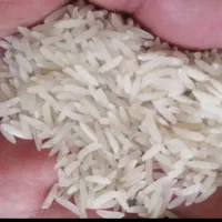 برنج درجه یک فجر سوزنی 370