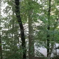 آپارتمان بازسازی شده ناژوان زیر قیمت منطقه|فروش آپارتمان|اصفهان, ناژوان|دیوار