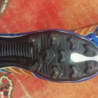 اهواز گلستان