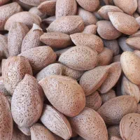 بادام خشک شده