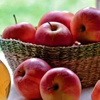 سرکه طبیعی سیب،گلابی و انگور
