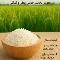 برنج هاشمی|خوردنی و آشامیدنی|تهران, شهرک ولیعصر جنوبی|دیوار