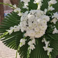 تاج گل|گل و گیاه طبیعی|سبزوار, پاسداران|دیوار
