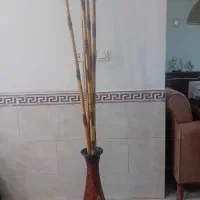 سلام ۶ عدد چوب بامبو با گلدان  همگی سالم