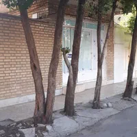 فروش خانه ویلایی ۲۲۵ متری ۳ خوابه در کوی نیرو|فروش خانه و ویلا|اهواز, شهرک نفت|دیوار