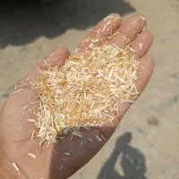 کاه نرم خالص درجه یک