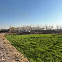 زمین باغچه ای، قیمت عالی