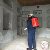 سمپاشی /سوسک ساس*موریانه موش عقرب*کل اهواز*