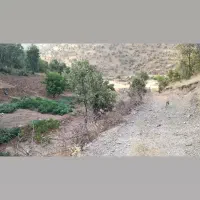 فروش زمین کشاورزی جاده جدید سنندج مریوان|فروش دفتر صنعتی، کشاورزی، تجاری|مریوان, |دیوار