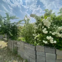 فروش-زمین-410متری-برآسفالت-دوردیوار-پروانه