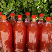 رب انار|خوردنی و آشامیدنی|تهران, مدائن|دیوار