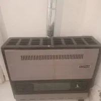 بخاری جهان کار سالم