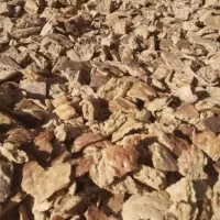 نان تمیزنانوایی