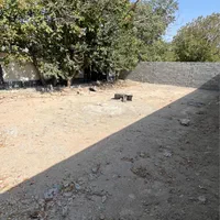 ۲۵۰متر زمین چهاردیواری مسکونی داخل بافت قابل ساخت|فروش زمین و ملک کلنگی|شهریار, بکه|دیوار