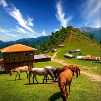 ویلایی 520متری 17متر حاشیه تربت حیدریه