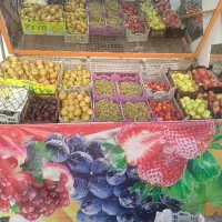 میزمیوه فروشی|فروشگاه و مغازه|سیرجان, |دیوار