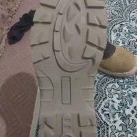 کفش ایمنی درجه ۱ نو نو|کیف، کفش، کمربند|شاهین‌شهر, گزبرخوار|دیوار