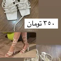 کفش سایز ۳۷