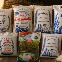 برنج عنبربو/لنجان/کامفیروز /اصل/ ایرانی طارم هاشمی